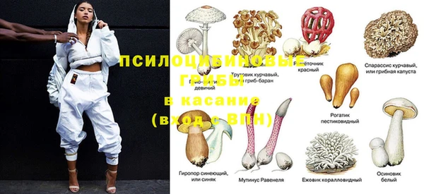 ешки Вяземский